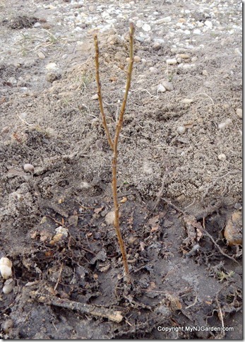 P3040011