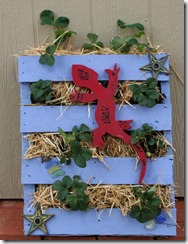 strawberry garden pallet